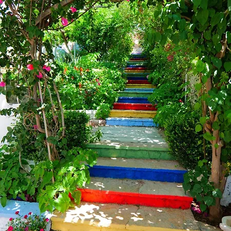 Nili Deluxe Sarande